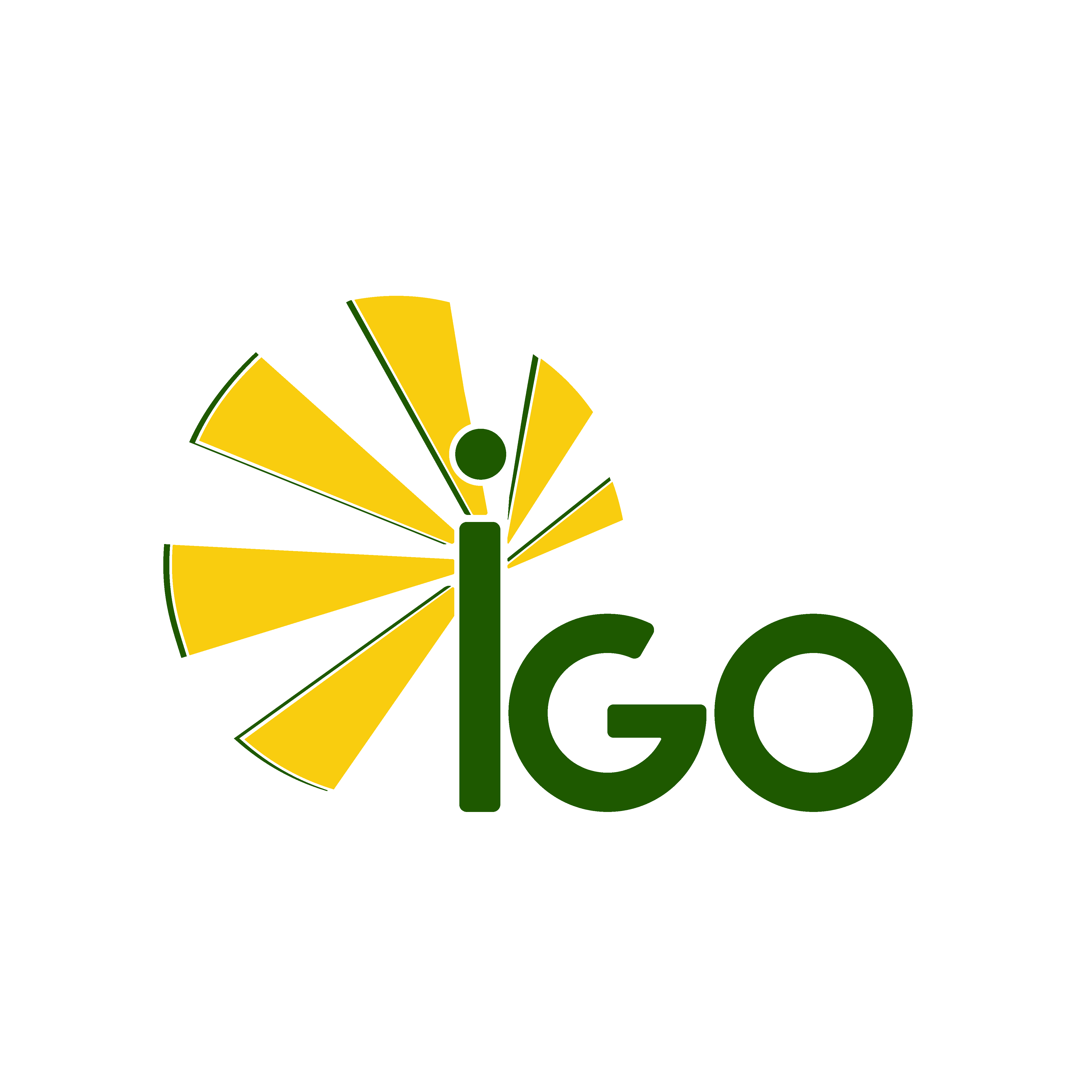 Logo IgoEnergy